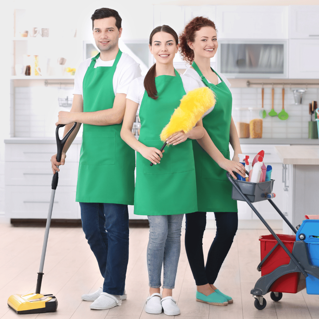 The Expert Cleaners