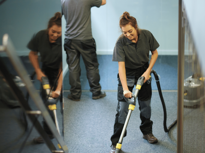 steam cleaning multi surface