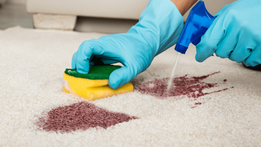 Rug Cleaning Services in boltan