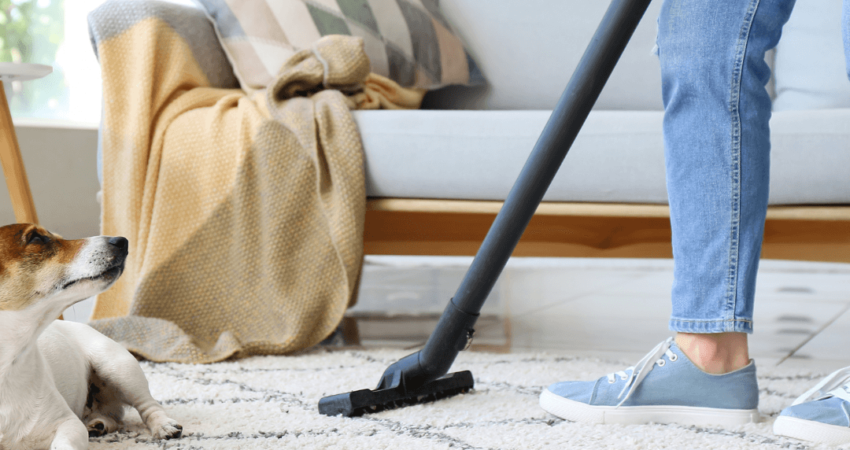 Carpet Cleaning Services in lincoln