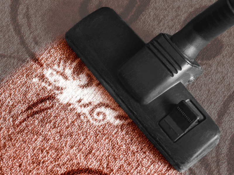 Rug Cleaning Services in Lincoln