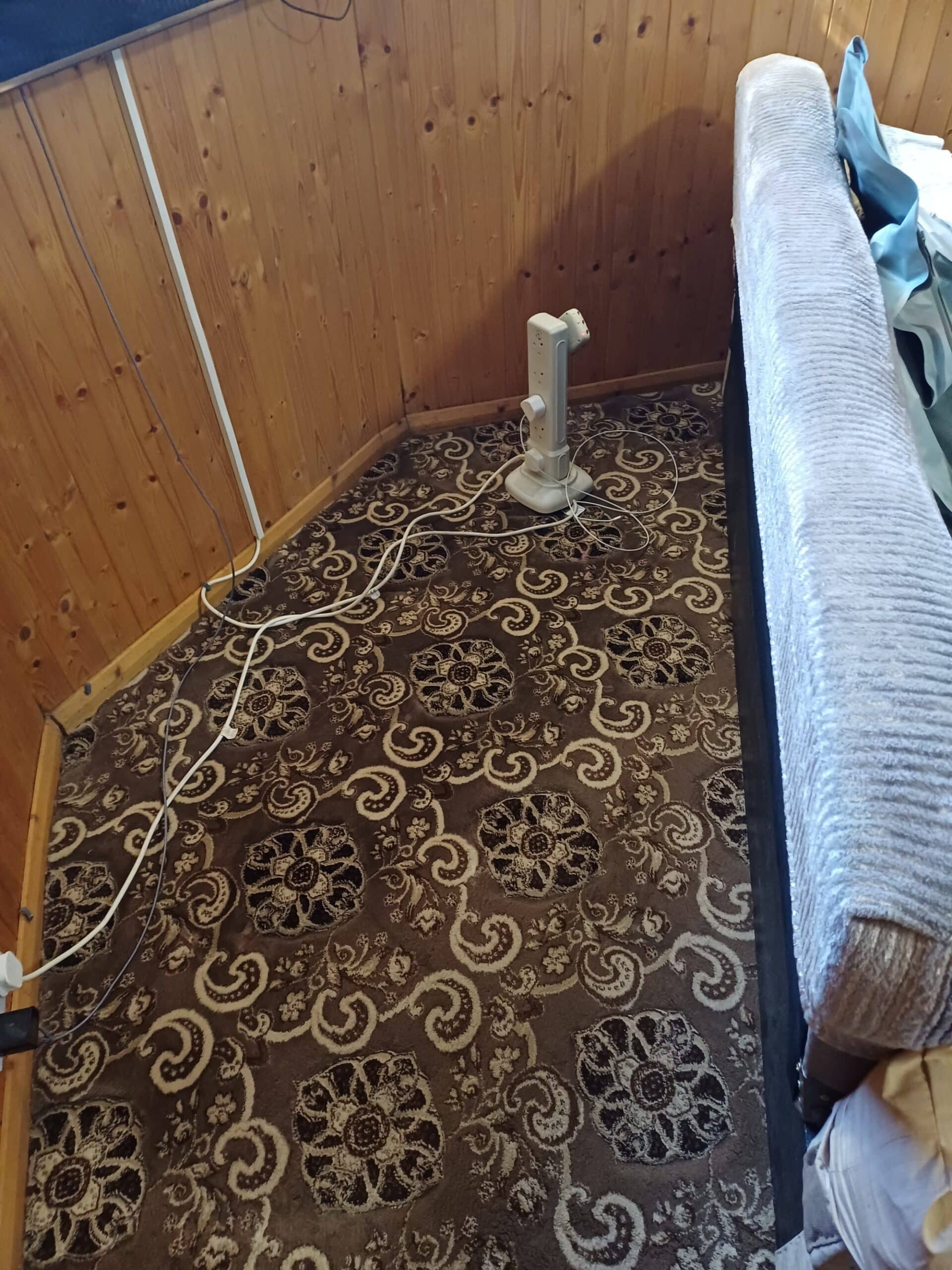 Rug cleaning service