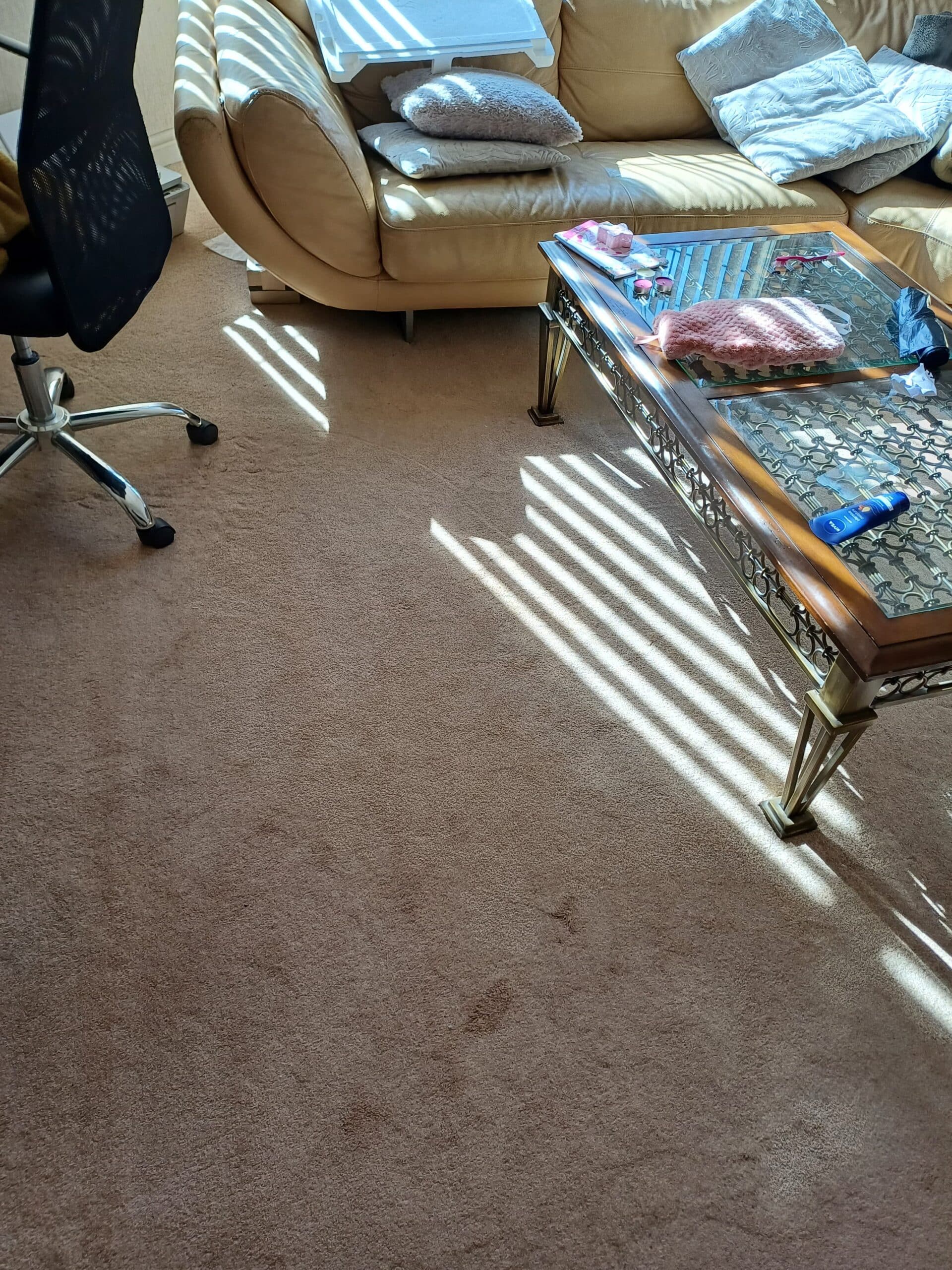 House Cleaning services