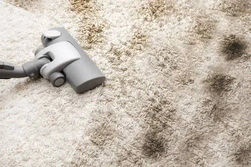 Carpet Cleaning Cause Mould Growth