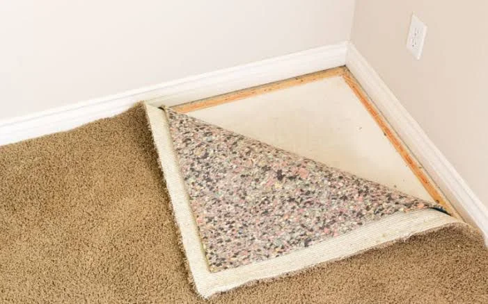 Prevent Mould Growth Under Wet Carpet
