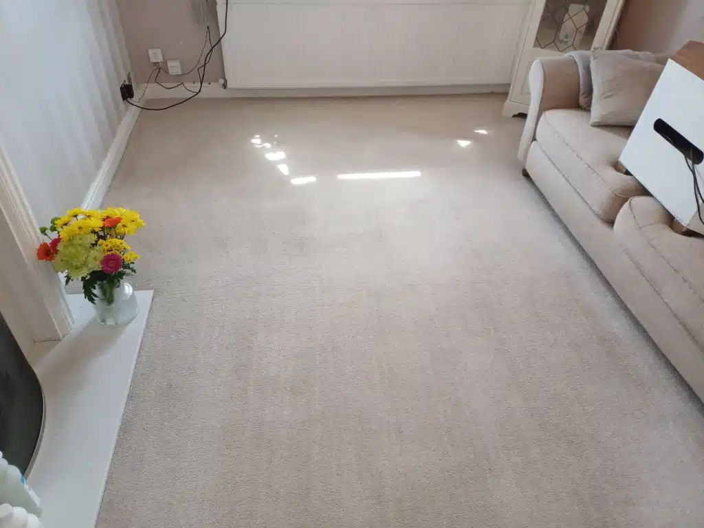 burnley carpet cleaning services