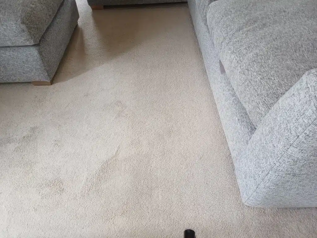 carpet cleaning services dewsbury