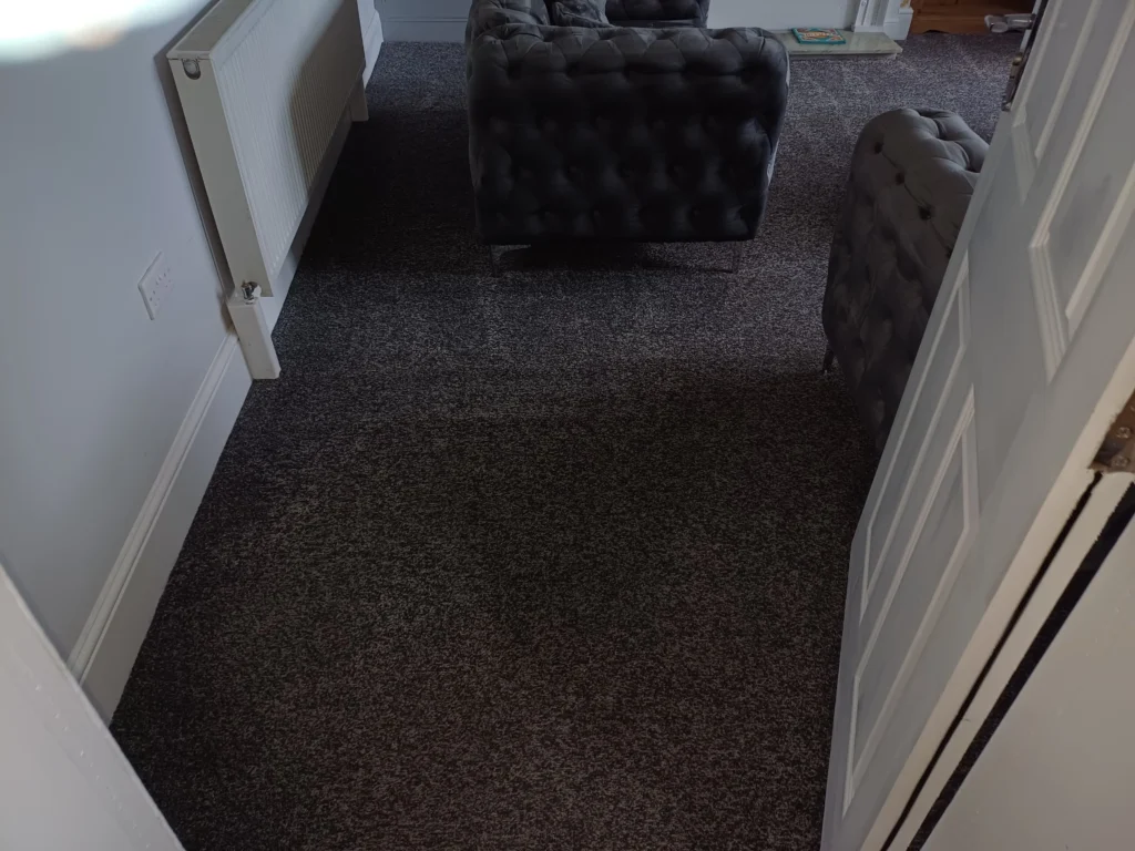 professional carpet cleaners blackburn