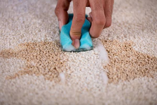 stains protection from carpet and upholstery