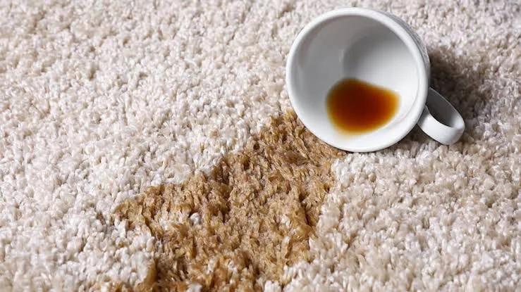 Remove Tea Stains from Carpet