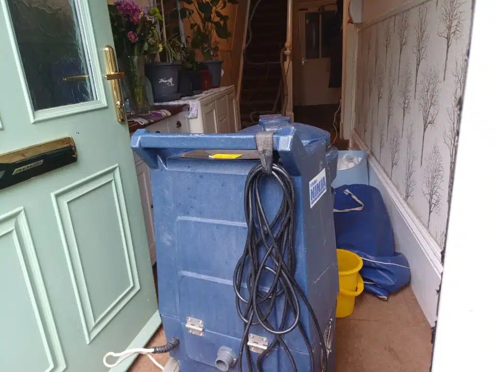 wakefield carpet cleaning services