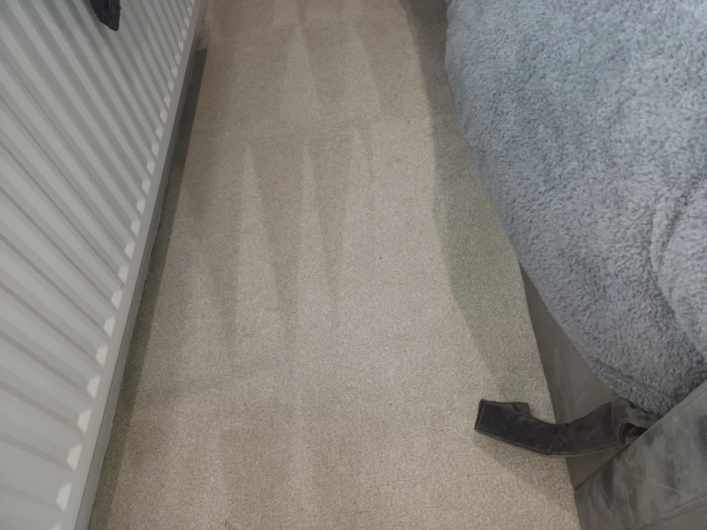 carpet cleaning honley