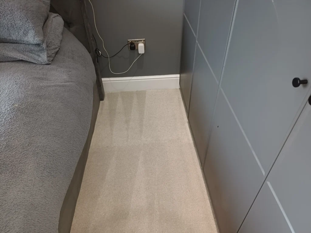 carpet cleaning services honley